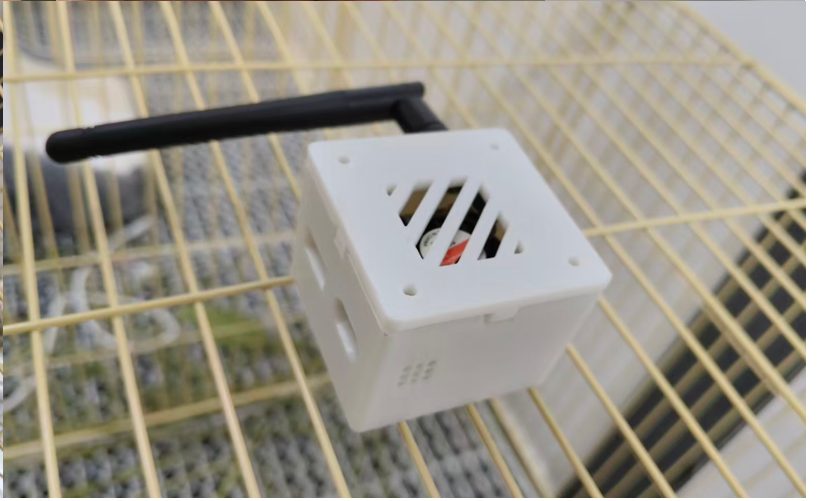 The Guinea Guard prototype — a small white box with an antenna, clipped to the wire of a guinea pig cage