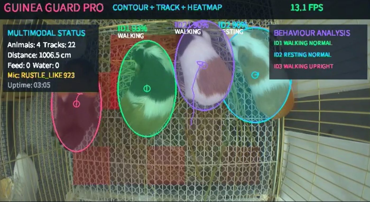 Actual tracking output from the prototype: four guinea pigs outlined and identified in their cage, with live status and behaviour analysis panels